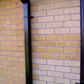 Brick Tint 001.JPG